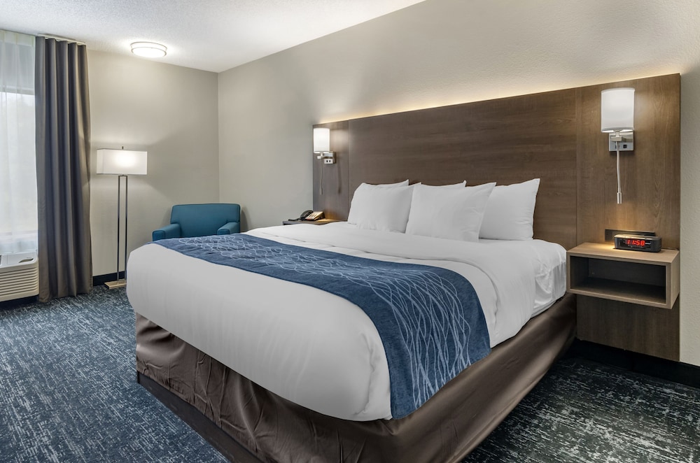Suite, 1 King Bed, Non Smoking photo 2