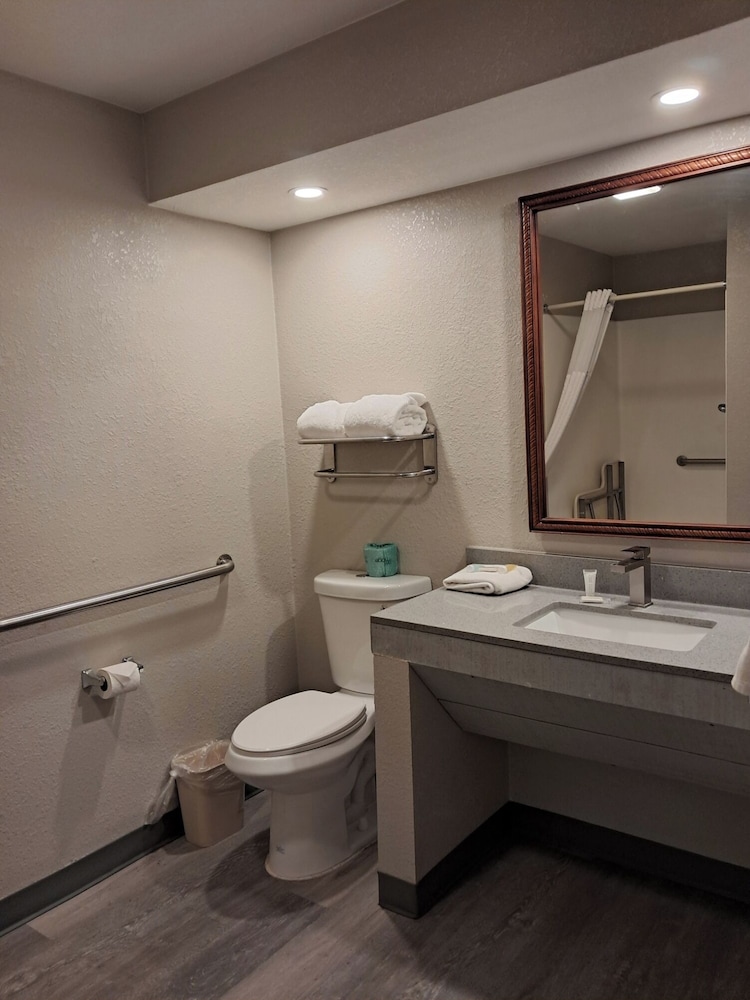 Room, 1 King Bed, Mobility Accessible, Non Smoking (Roll-In Shower) photo 3