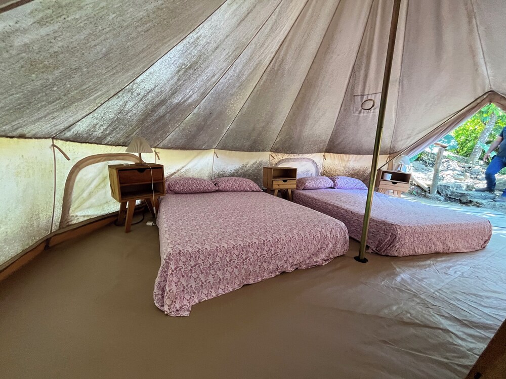 Family Tent, Mountain View photo 3