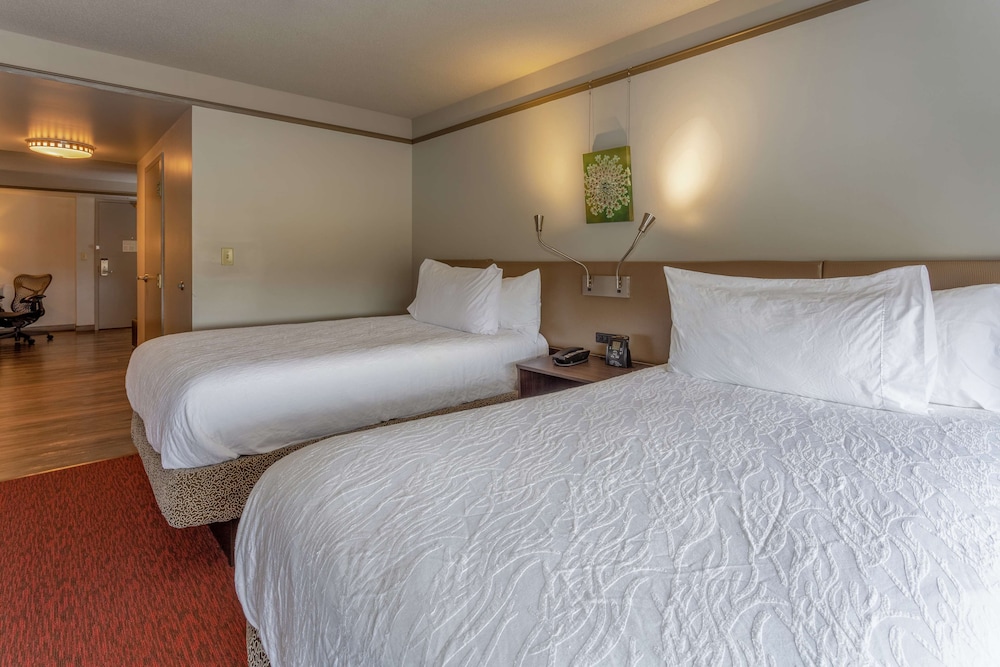 Suite, 2 Double Beds - Photo 2