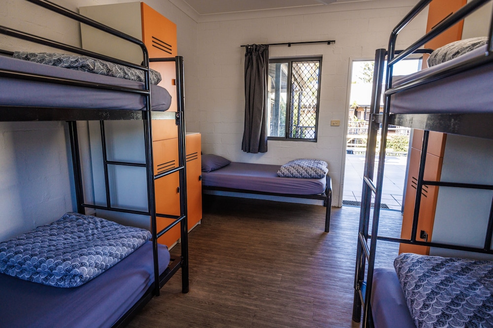 Bed in 5-Bed Female Dormitory with Shared Bathroom photo 1