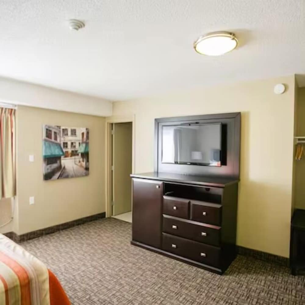 Single Room, 1 Queen Bed, Ground Floor photo 3