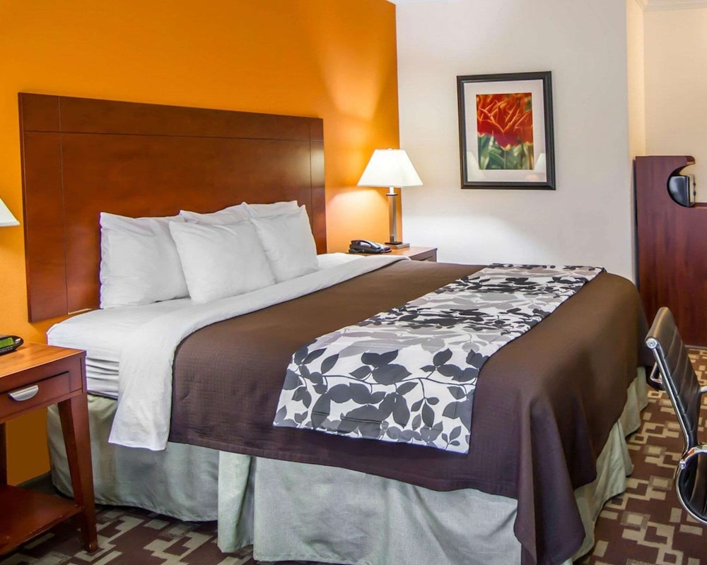 Standard Room, 1 King Bed, Non Smoking - Photo 6