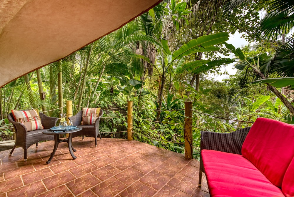Colibri Bungalow photo 3