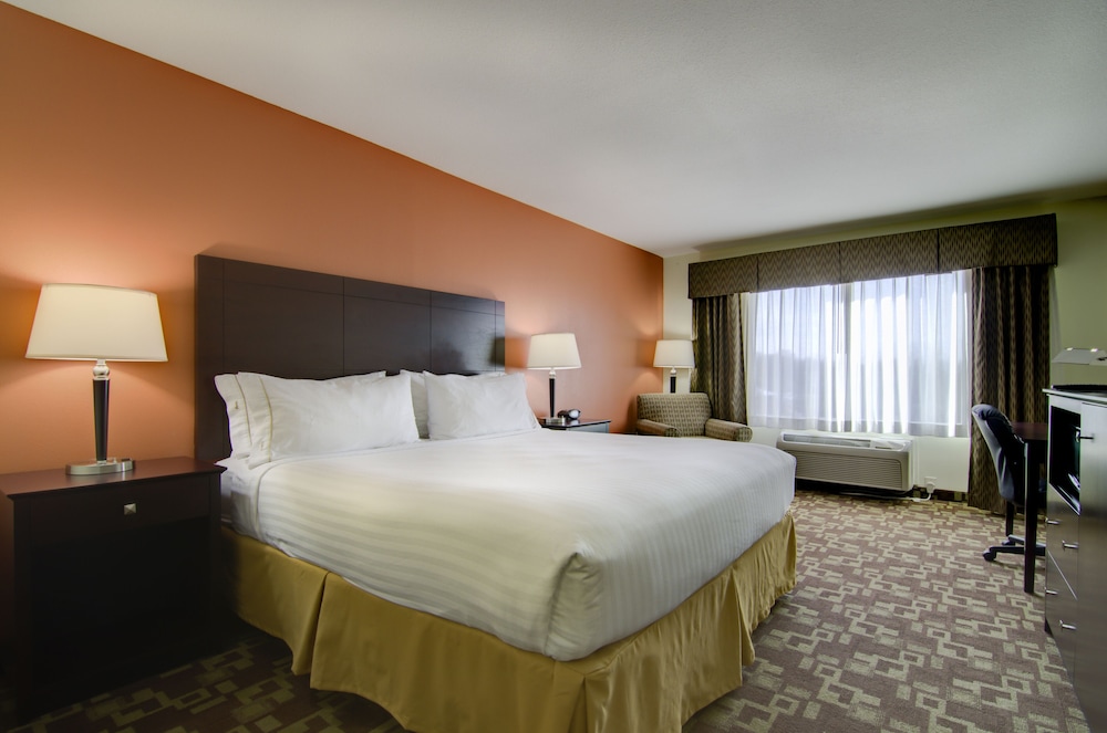 Suite, 1 King Bed photo 2