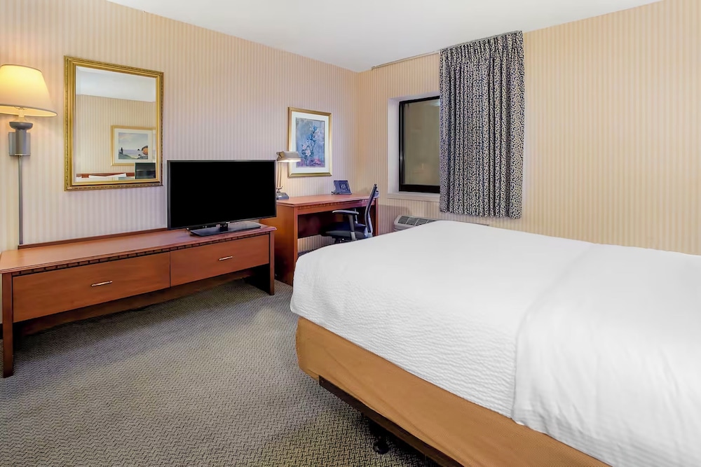 Standard Studio Suite, 1 King Bed, Non Smoking photo 3