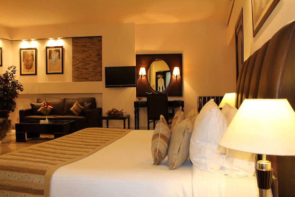 Suite - Photo 1