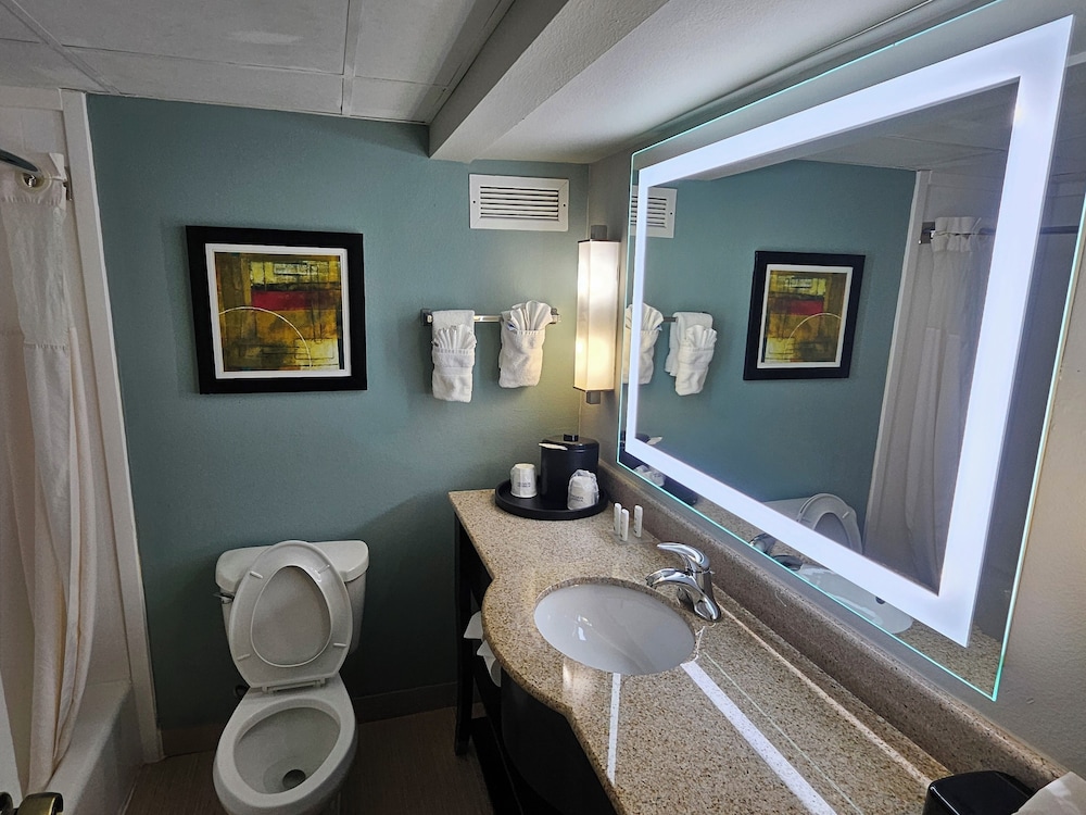 Suite, 1 King Bed, Non Smoking - Photo 3