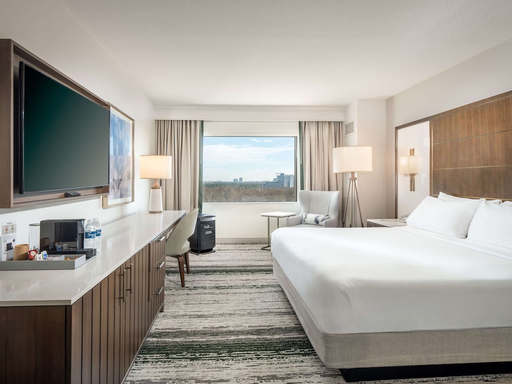 Room, 1 King Bed, Allergy Friendly