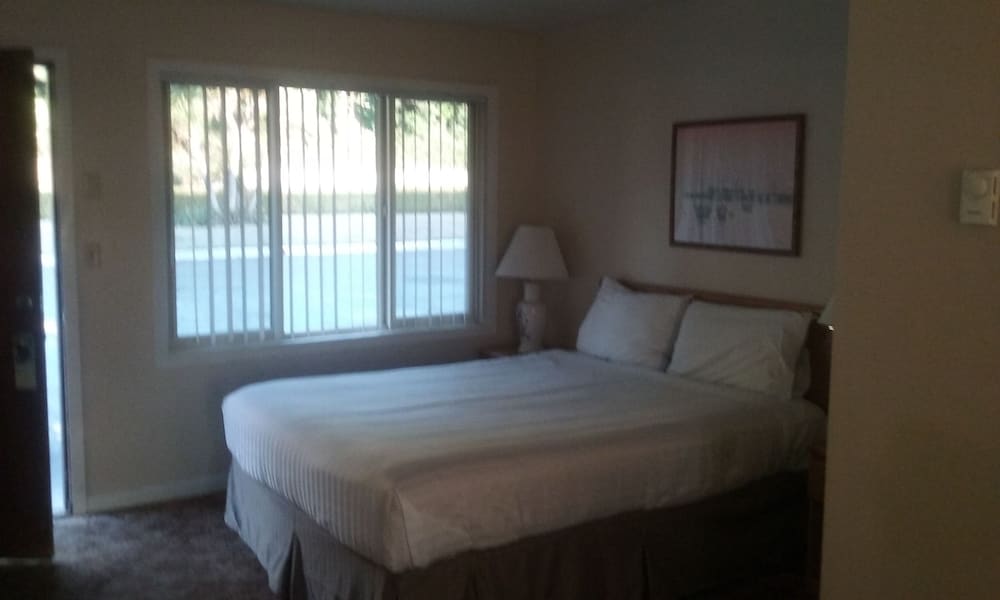 Room, 1 Queen Bed photo 1
