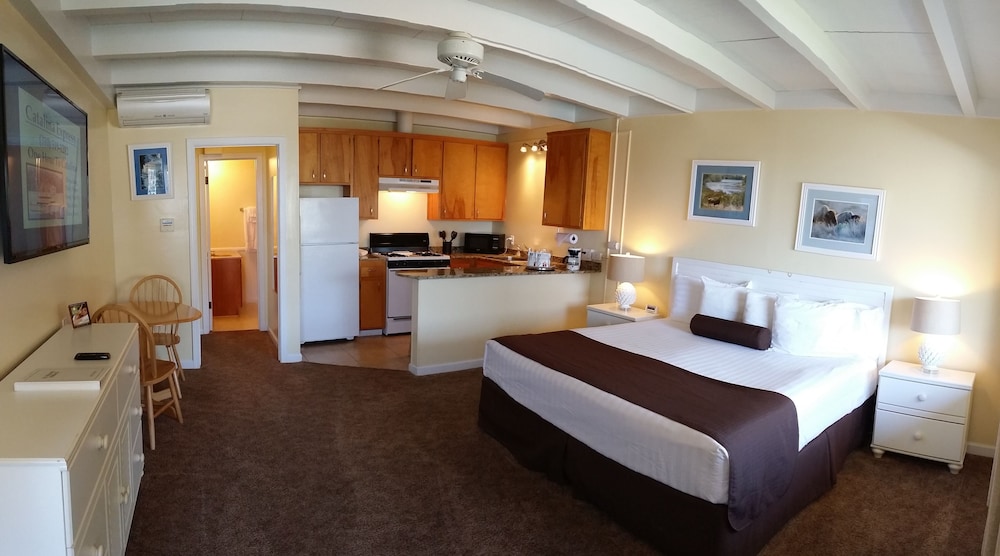 Suite, 1 King Bed