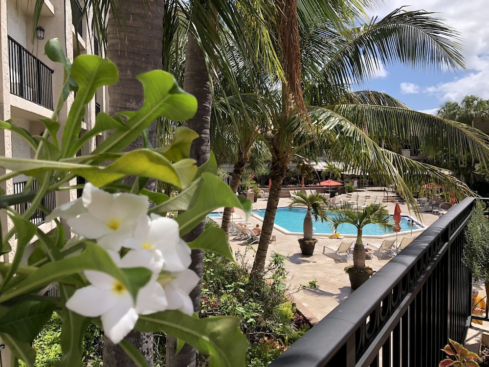 Wyndham Boca Raton Hotel, Photo 3