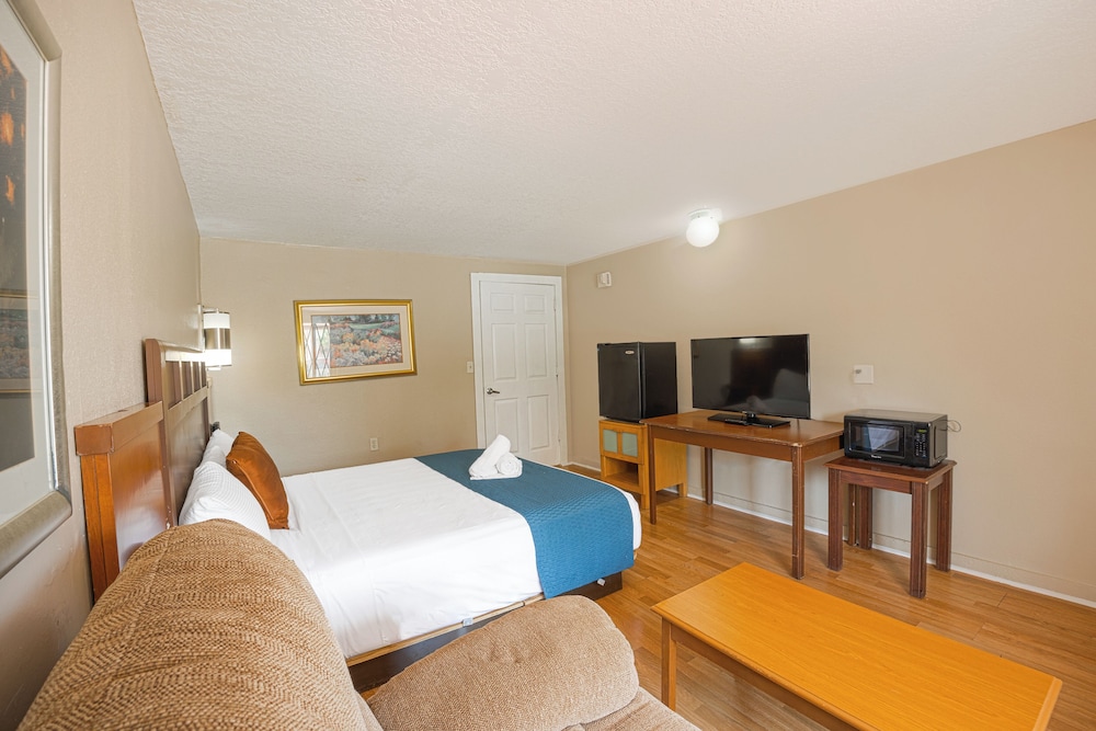 Standard Room, 1 King Bed, Mobility Accessible, Non Smoking photo 3
