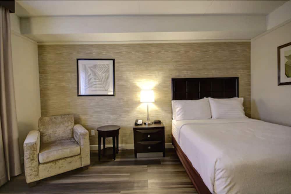 Standard Room, 1 Queen Bed, Accessible (Communications) - Photo 3