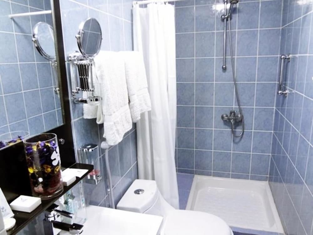Deluxe Double or Twin Room photo 3
