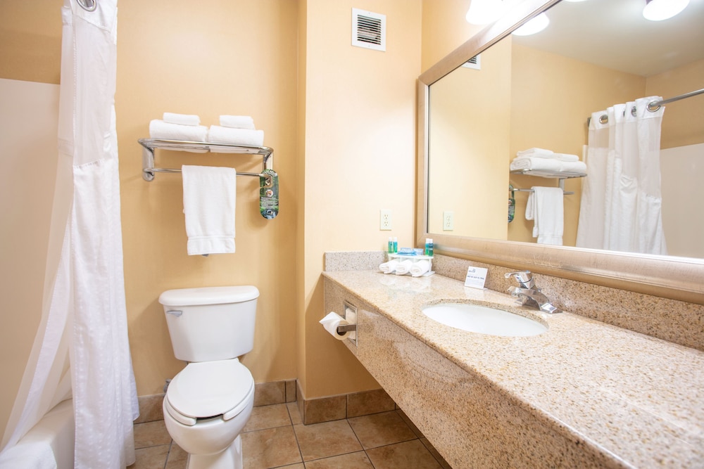 Suite, 1 King Bed, Jetted Tub - Photo 12