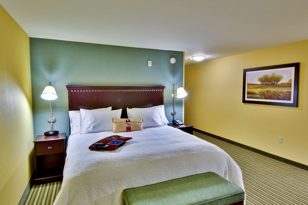 Room, 1 King Bed, Accessible - Photo 4