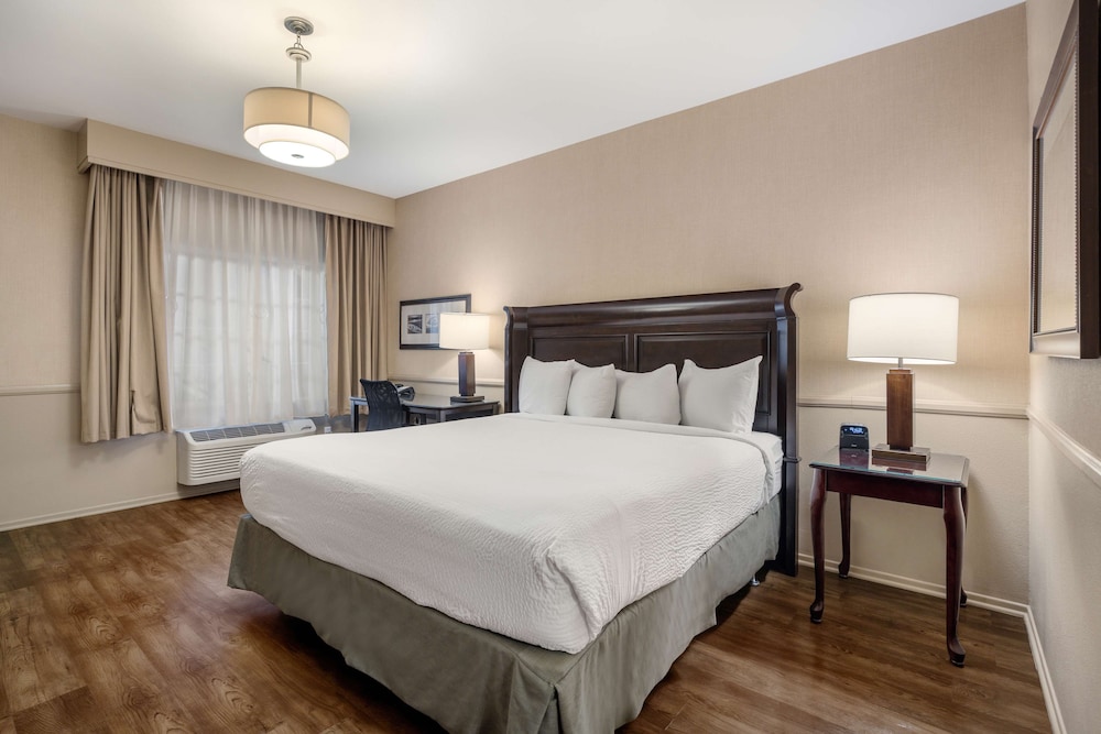 Standard Room, 1 King Bed, Accessible, Non Smoking - Photo 3