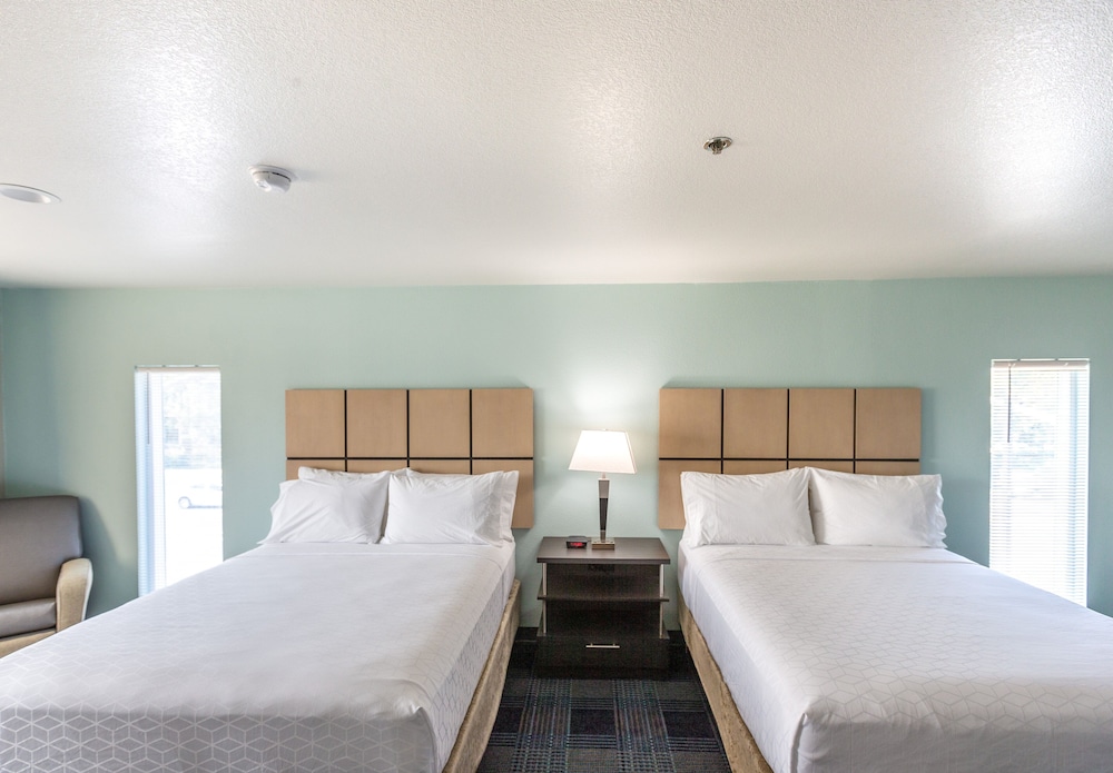 Studio Suite, 2 Double Beds photo 1