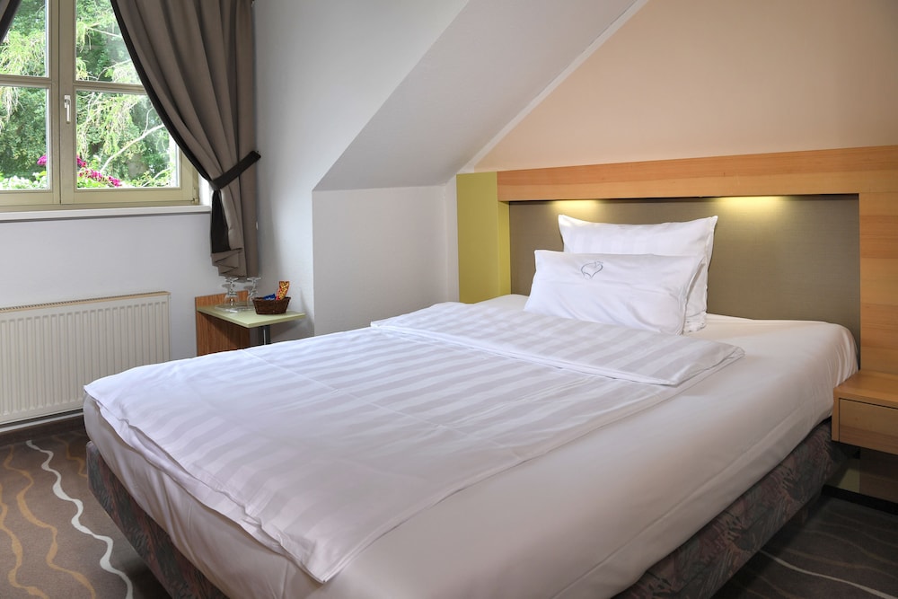 Basic Single Room, 1 Queen Bed, Non Smoking photo 3
