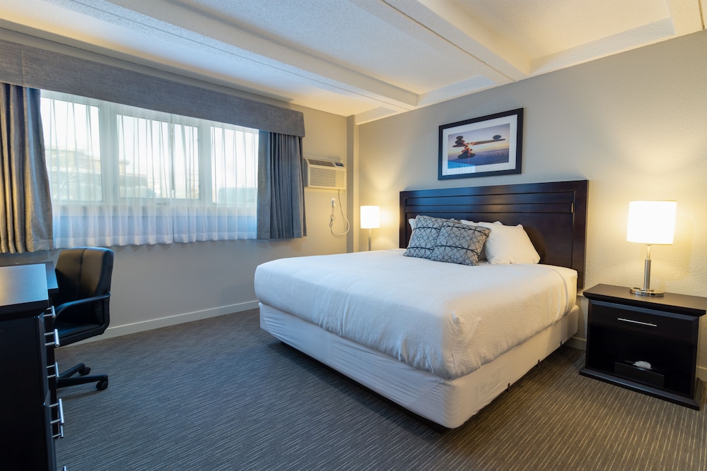 Room, 1 King Bed