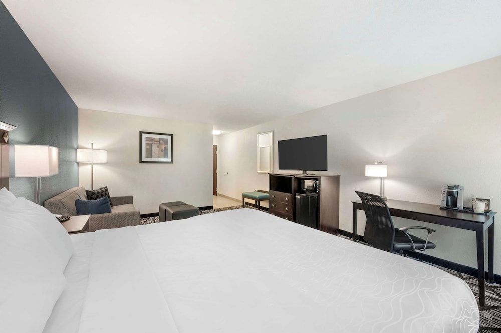 Standard Room, 1 King Bed, Accessible, Non Smoking (Walk-in Shower;with Sofabed) - Photo 5