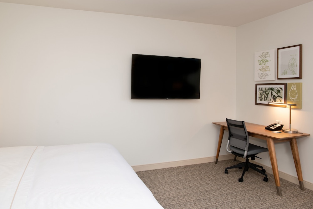 Studio Suite, 1 King Bed with Sofa bed - Photo 2