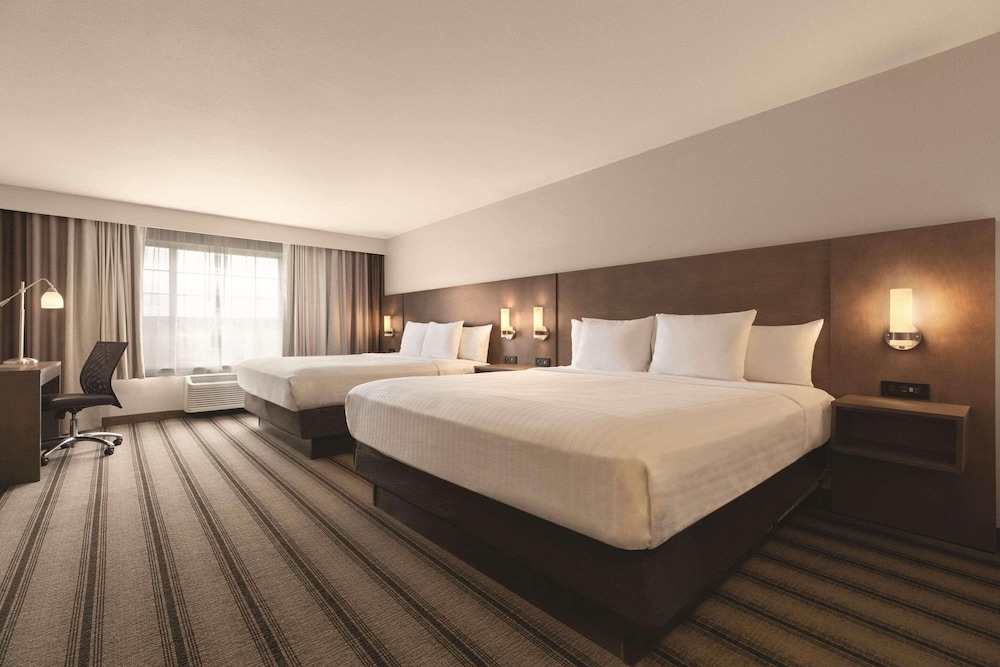 Room, Multiple Beds, Non Smoking photo 1