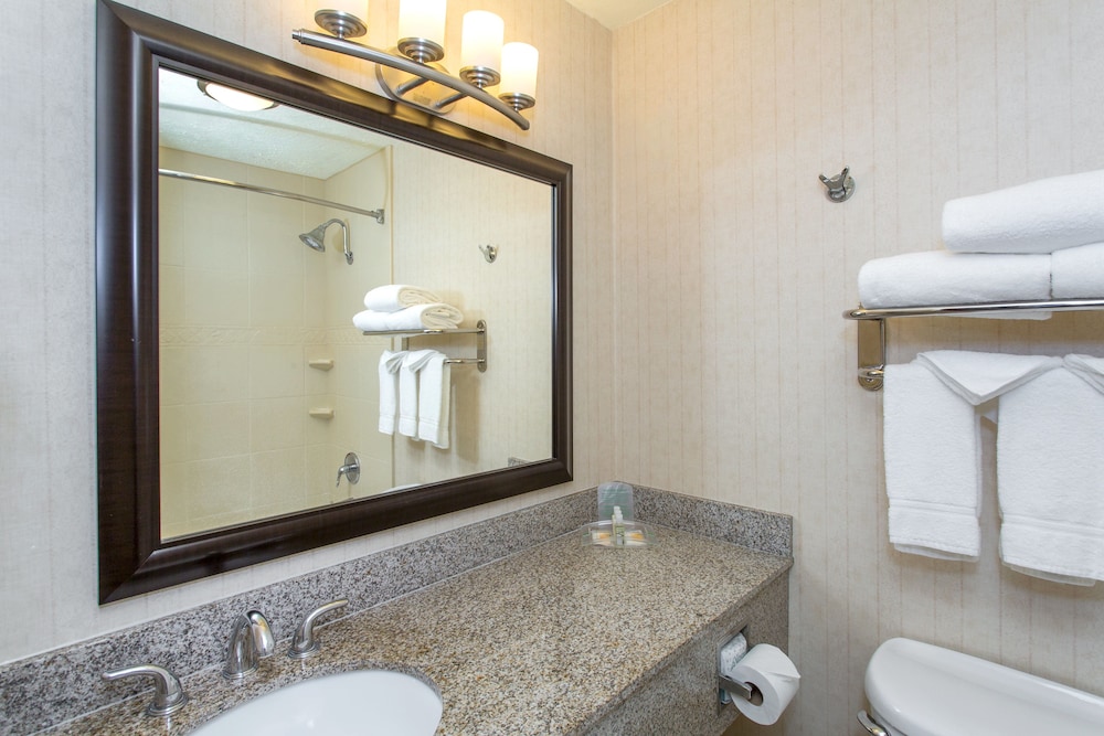 Standard Room, 1 King Bed, Accessible (Communications) - Photo 6