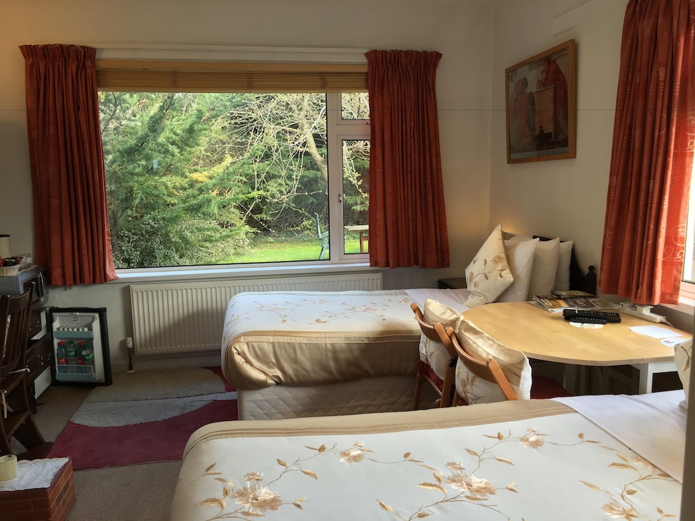 Twin Room photo 2