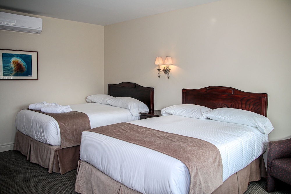 Standard Room, 2 Double Beds photo 1