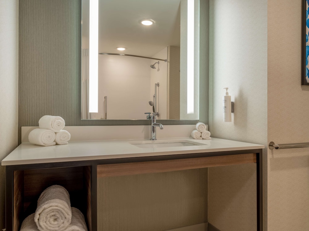 Room, 1 King Bed, Accessible (Roll-In Shower) - Photo 8