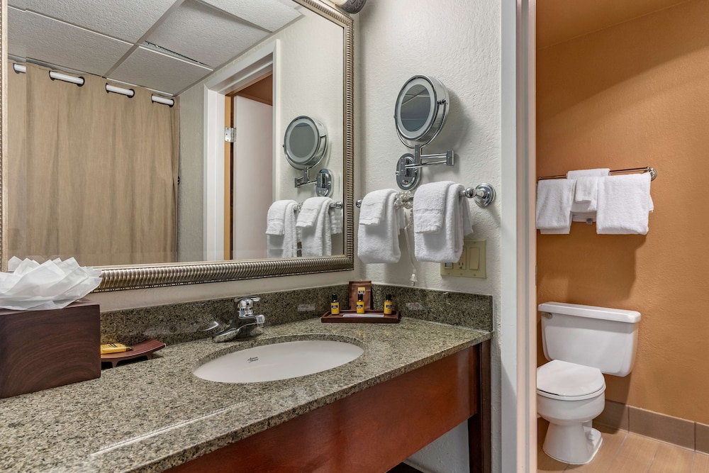 Suite, 1 King Bed, Non Smoking, Refrigerator & Microwave (with Sofabed) - Photo 4