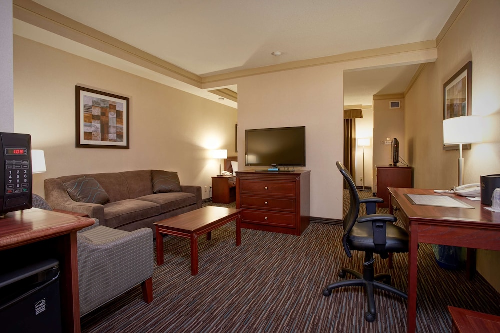 Standard Room, 1 King Bed, Non Smoking, Refrigerator & Microwave (with Sofabed) - Photo 3