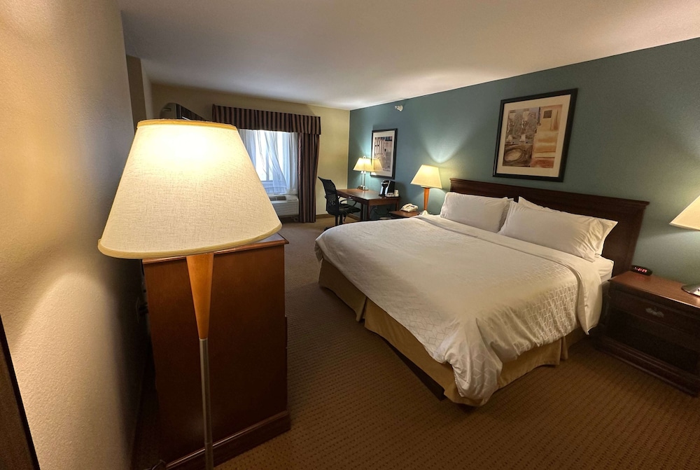 Room, 1 King Bed, Non Smoking - Photo 3