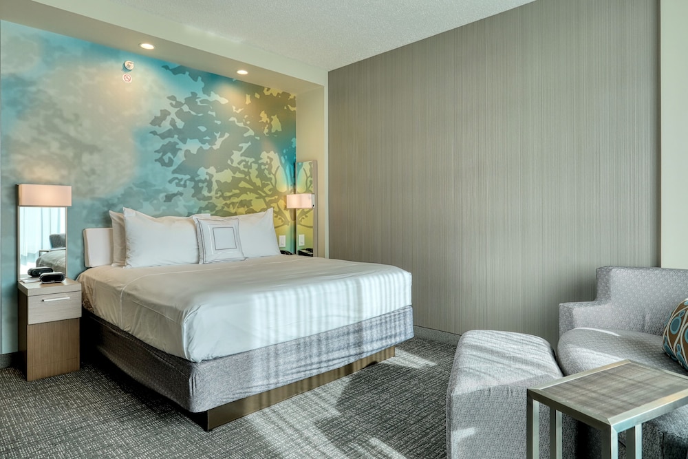 Room, 1 King Bed with Sofa bed (Hearing Accessible)