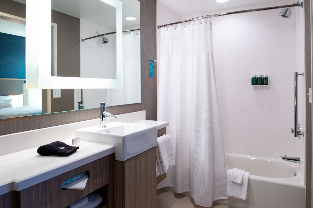 Suite, 1 King Bed (Hearing Accessible) photo 2