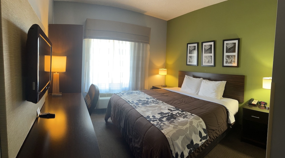 Room, 1 King Bed