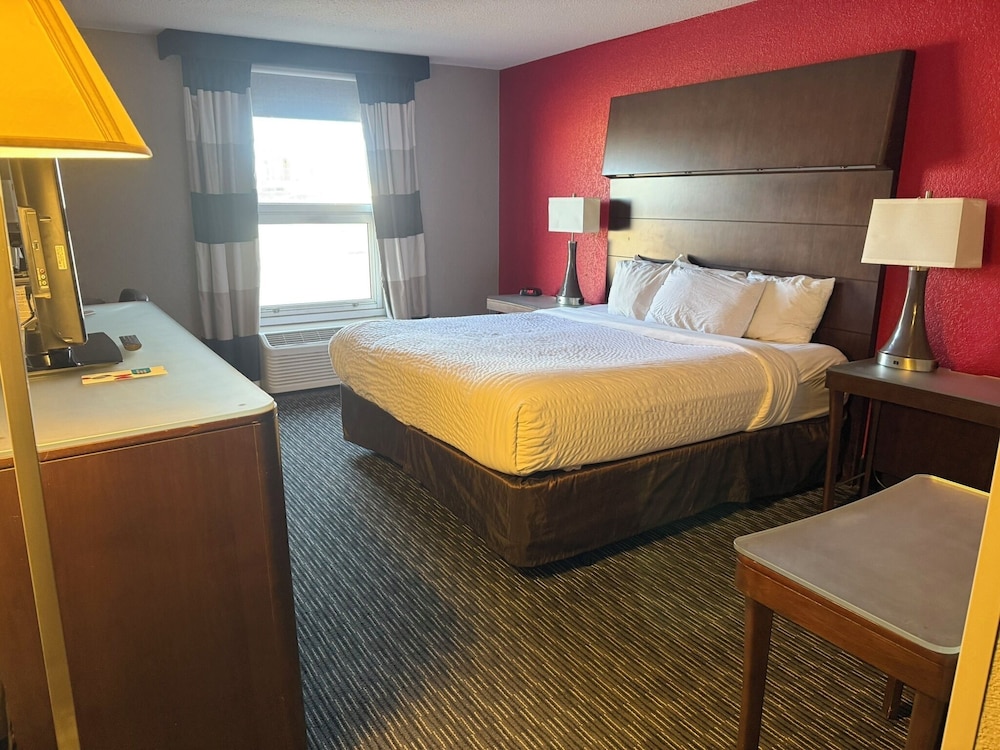 Room, 1 King Bed, Roll-in Shower