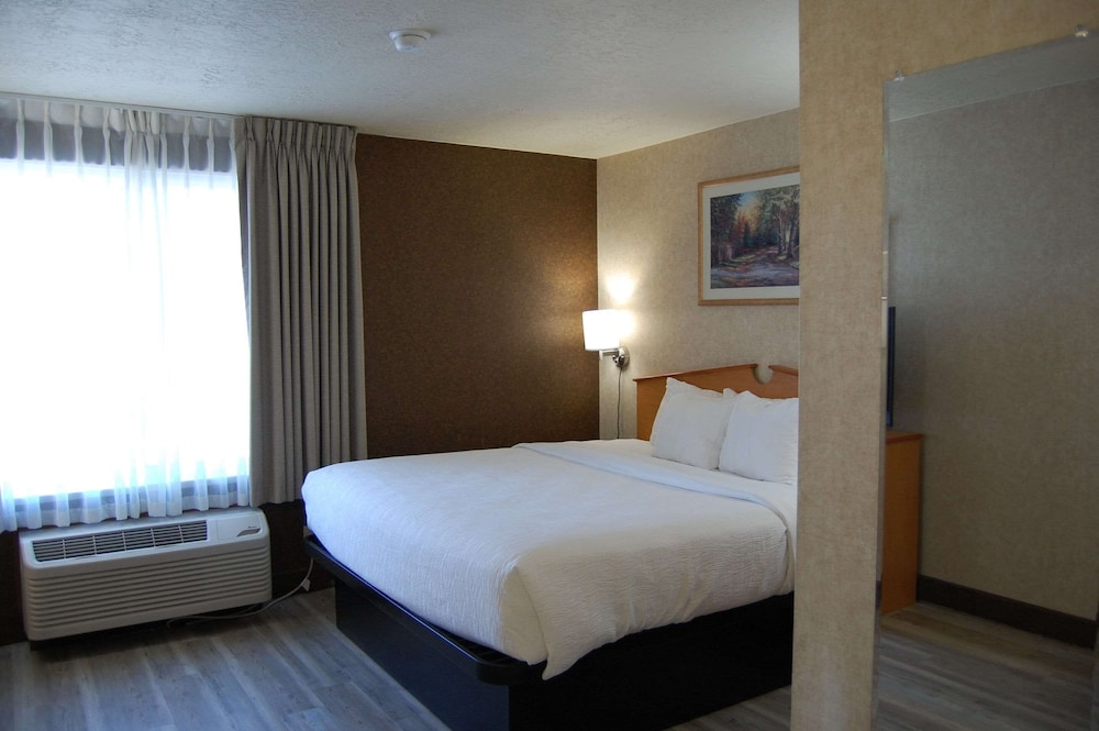 Suite, 1 King Bed with Sofa bed, Non Smoking - Photo 11