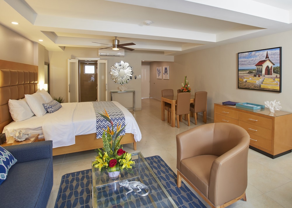 Studio Suite - Photo 3