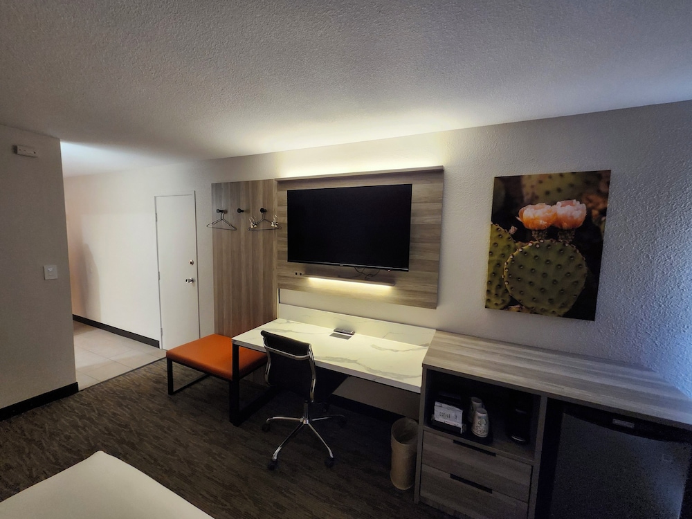 XNET-Standard room photo 2