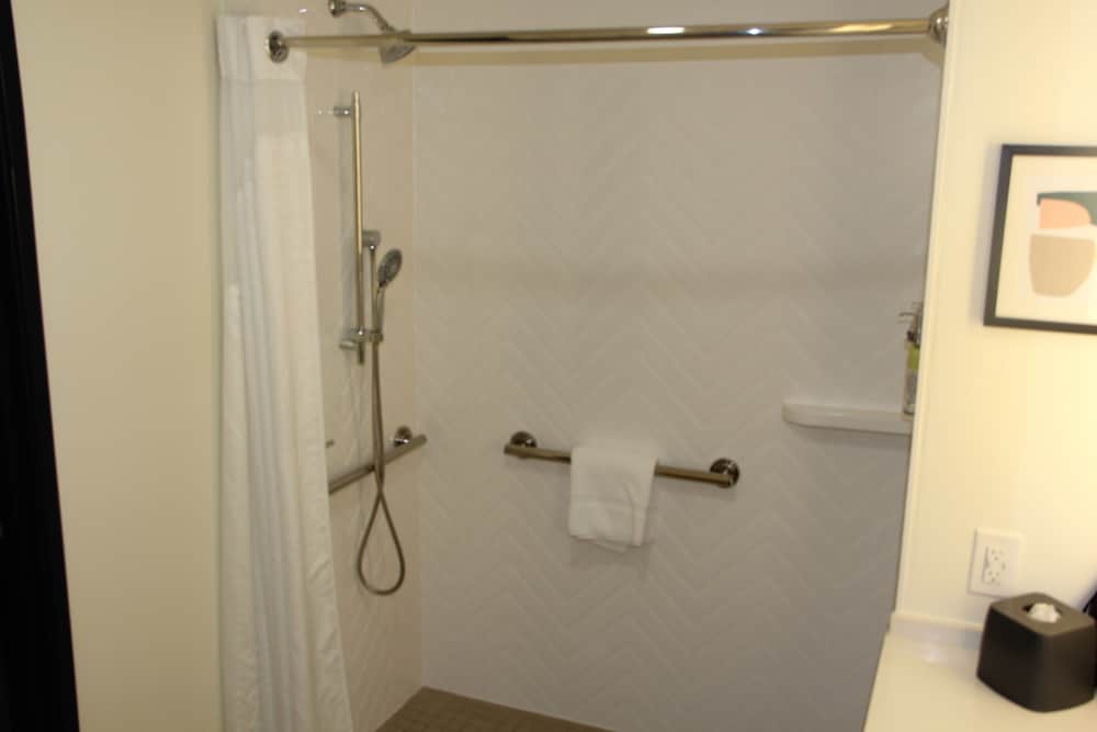 Standard Room, 1 King Bed, Roll-in Shower (Roll-In Shower) - Photo 8