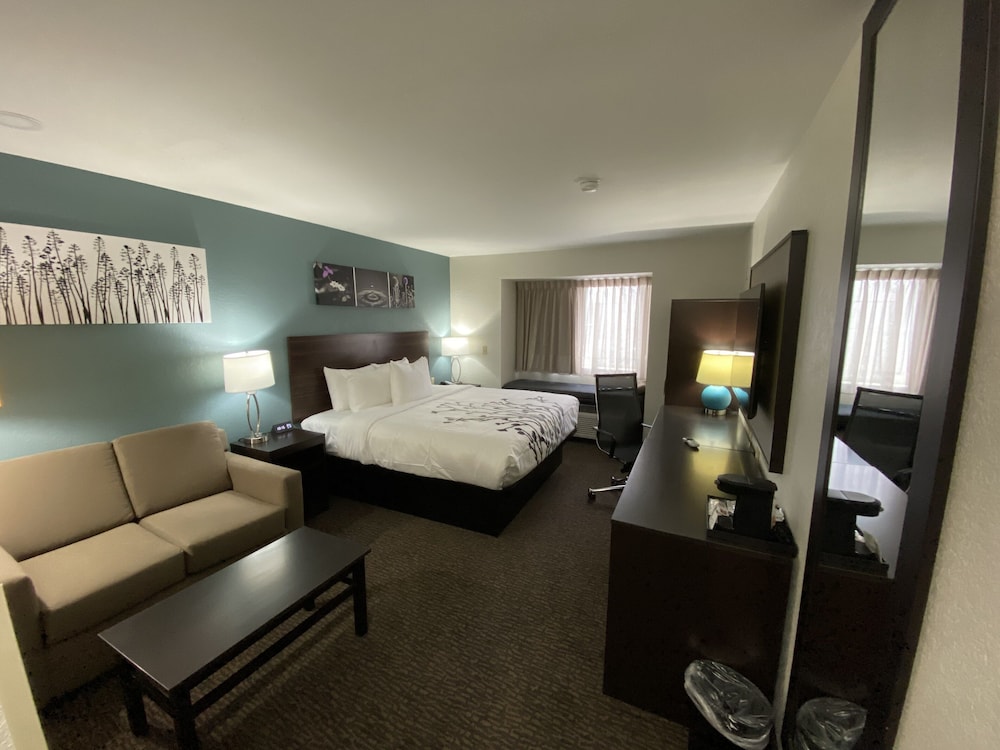 Room, 1 King Bed with Sofa bed, Non Smoking (Upgrade) - Photo 4