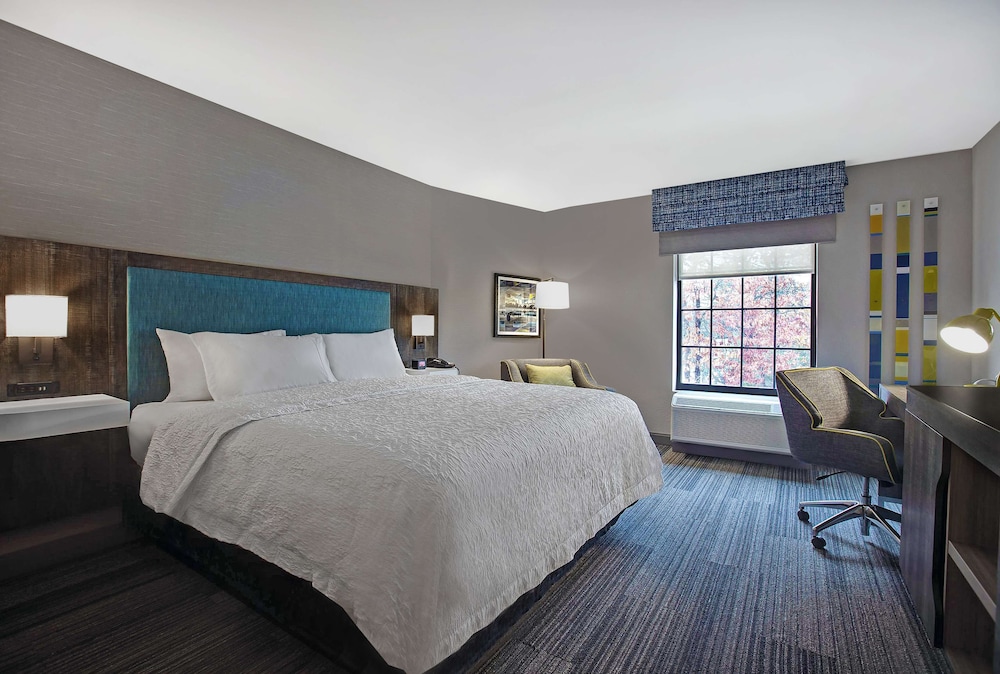 Room, 1 King Bed, Accessible, Bathtub - Photo 1