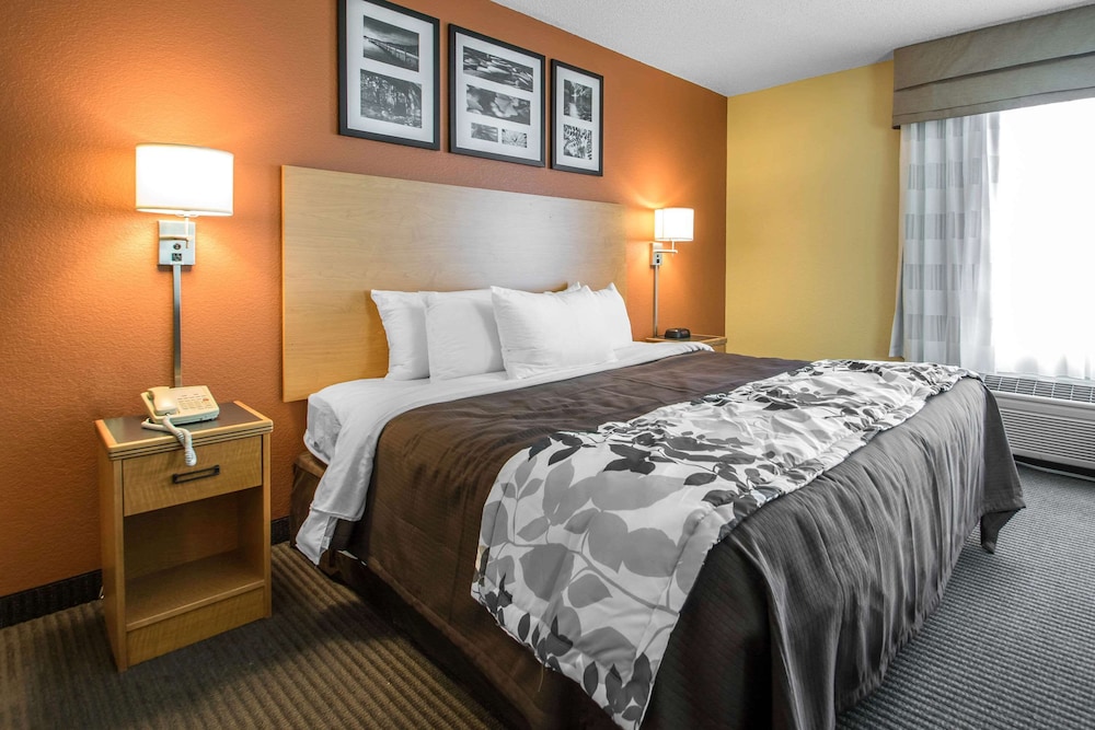 Suite, 1 King Bed with Sofa bed, Accessible, Non Smoking - Photo 4