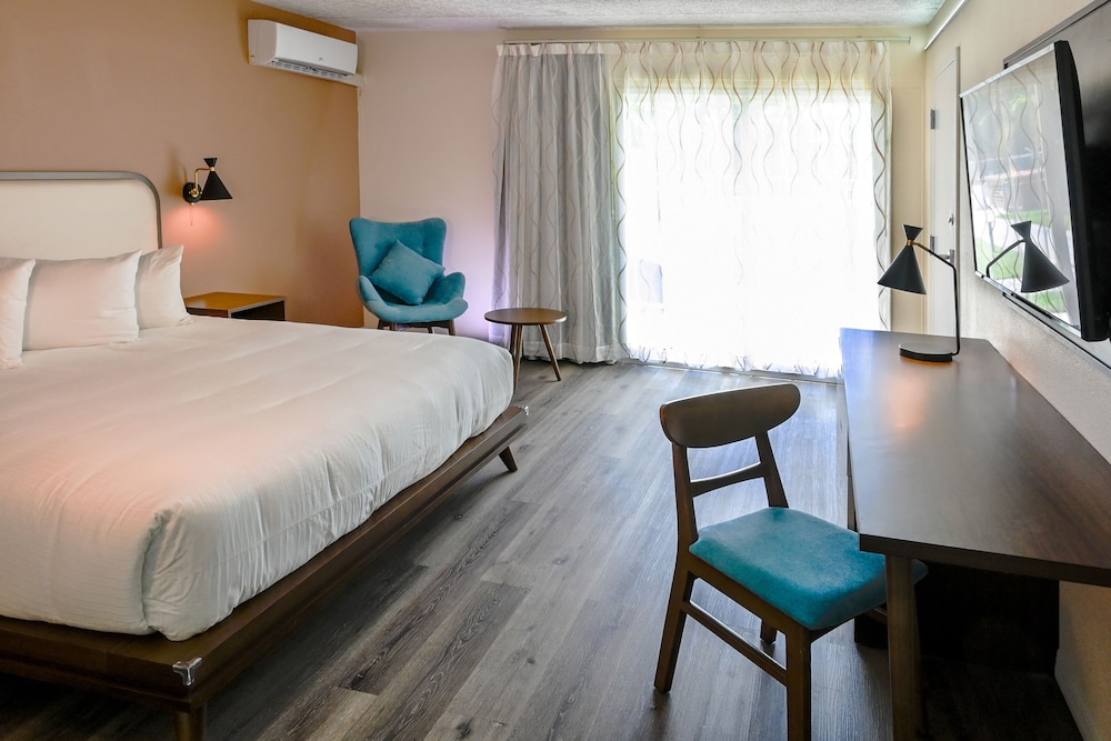 Premium Room, 1 King Bed, Patio, Pool View, Accessible - Photo 1