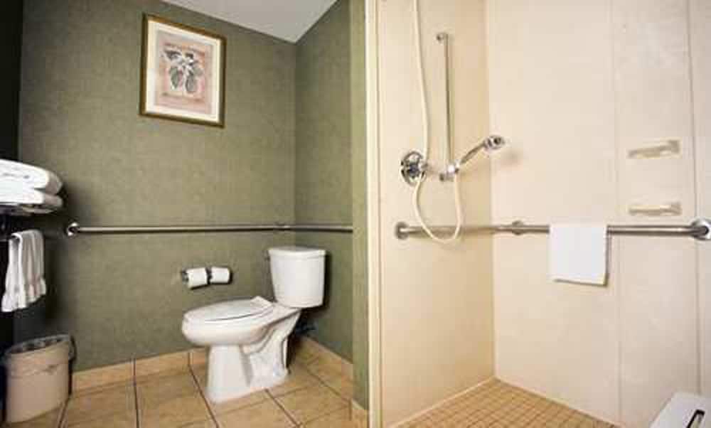 Studio, 1 King Bed, Accessible, Bathtub - Photo 6