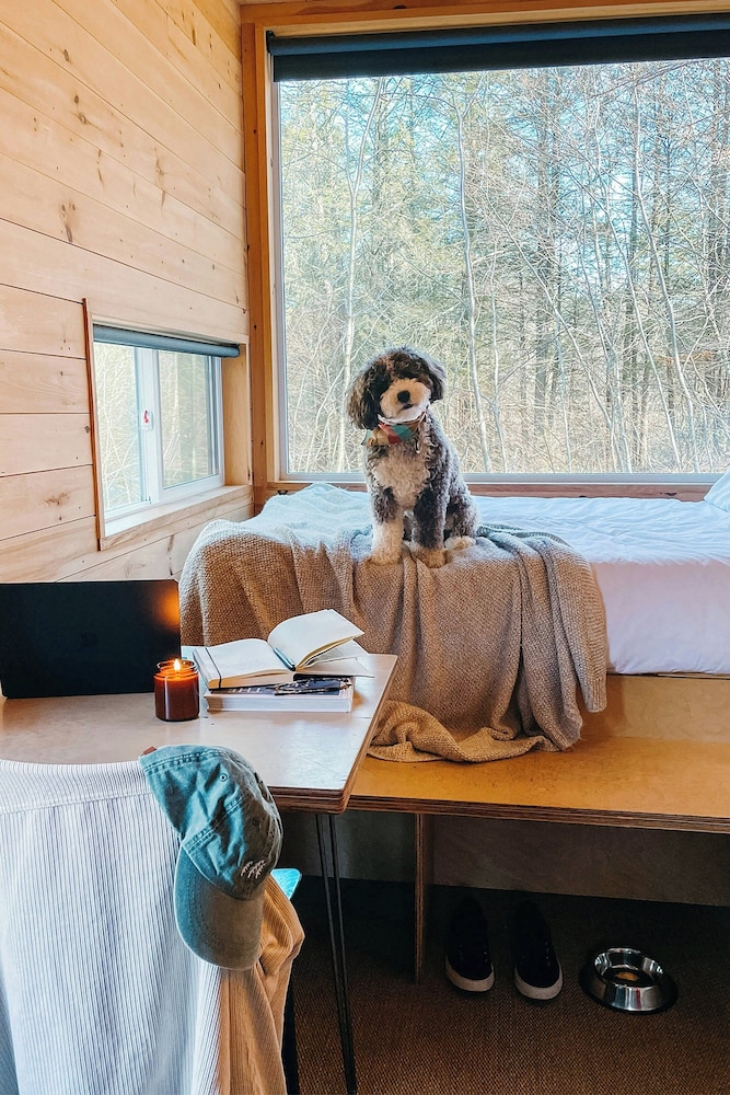 Cabin, 1 Queen Bed photo 2