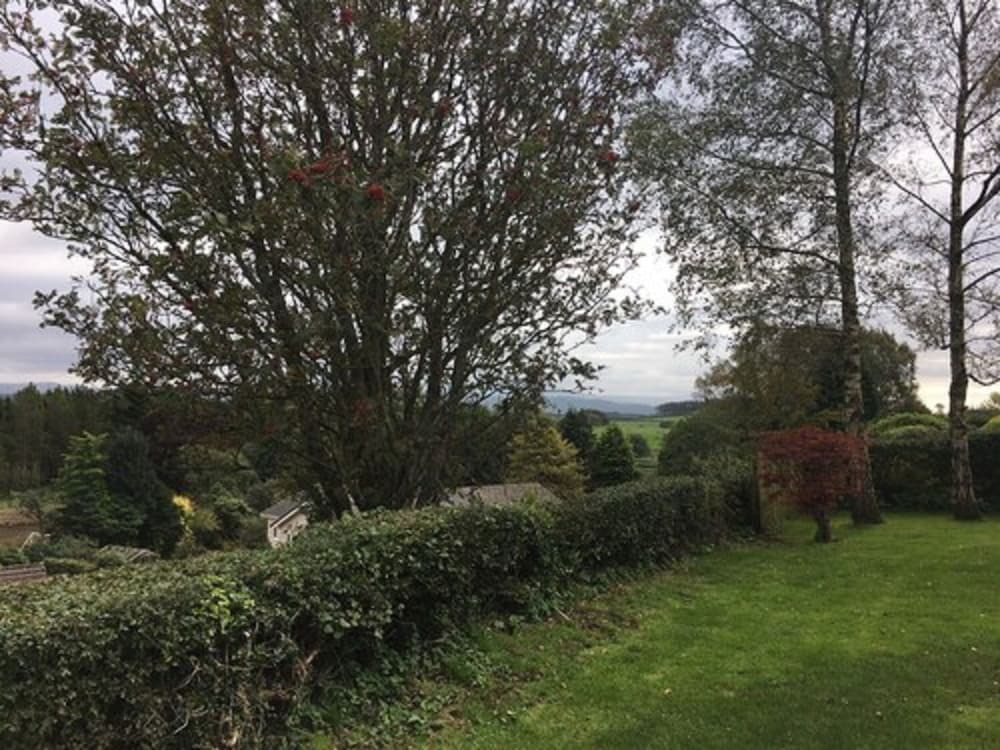 The Kellbank, Foto 7